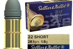 22Short_28.1grs__1_